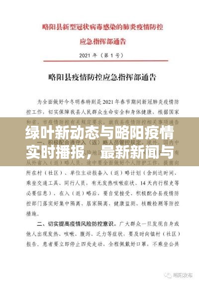 绿叶新动态与略阳疫情实时播报，最新新闻与市场反响聚焦