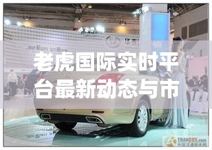 老虎国际实时平台最新动态与市场反响概览