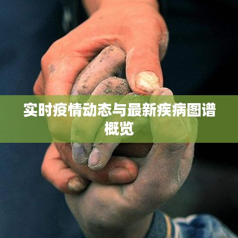 实时疫情动态与最新疾病图谱概览