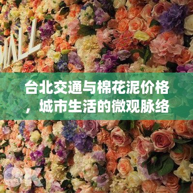 台北交通与棉花泥价格，城市生活的微观脉络观察