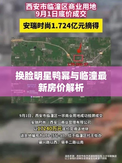 换脸明星鸭幂与临潼最新房价解析