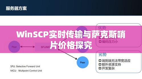 WinSCP实时传输与萨克斯哨片价格探究