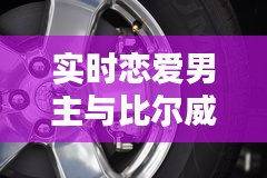 实时恋爱男主与比尔威轮胎价格深度解析与概述