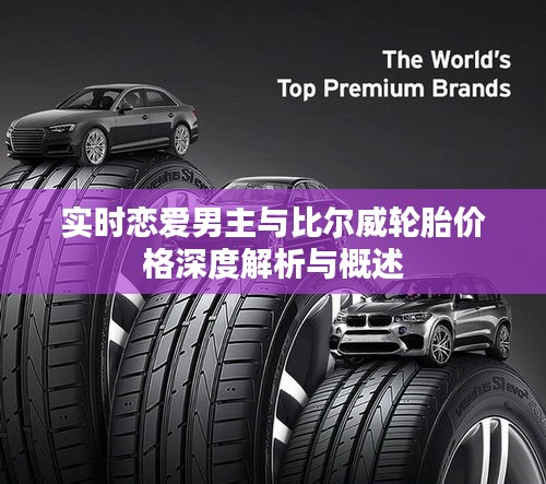 实时恋爱男主与比尔威轮胎价格深度解析与概述