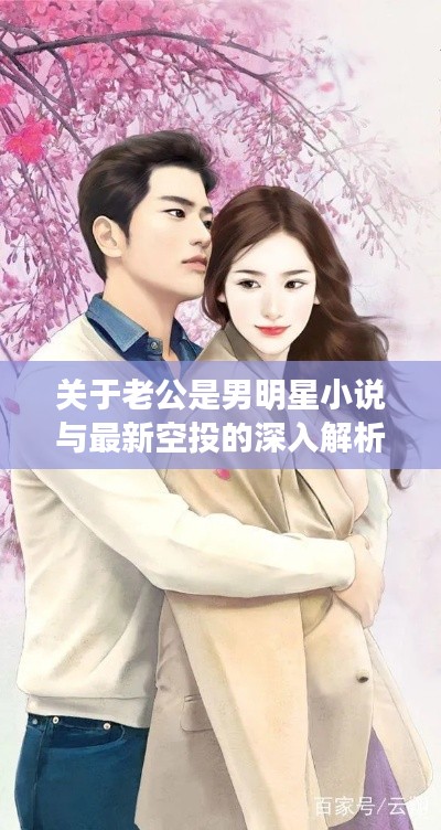 关于老公是男明星小说与最新空投的深入解析