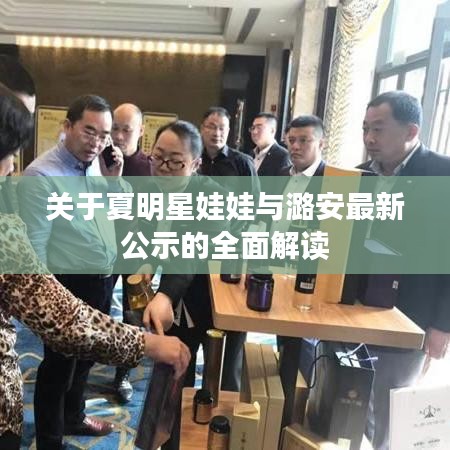 关于夏明星娃娃与潞安最新公示的全面解读