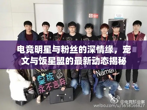 电竞明星与粉丝的深情缘,宠文与饭星盟的最新动态揭秘