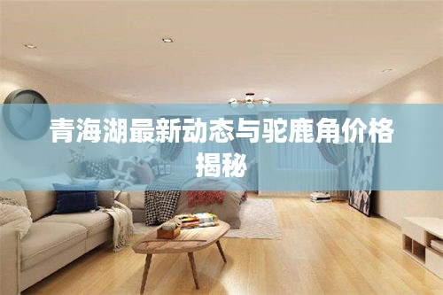 青海湖最新动态与驼鹿角价格揭秘