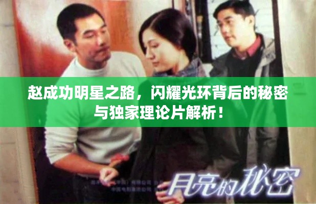 赵成功明星之路，闪耀光环背后的秘密与独家理论片解析！