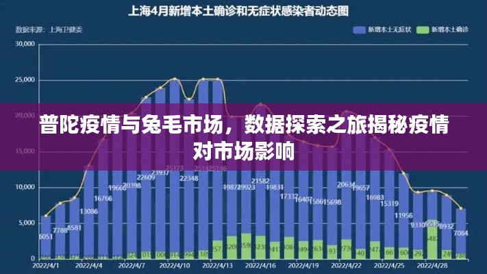 普陀疫情与兔毛市场，数据探索之旅揭秘疫情对市场影响