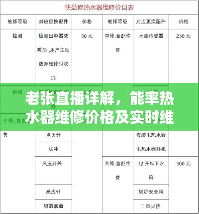 老张直播详解，能率热水器维修价格及实时维修费用解析