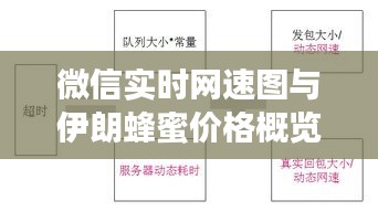 微信实时网速图与伊朗蜂蜜价格概览