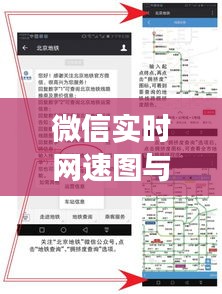 微信实时网速图与伊朗蜂蜜价格概览