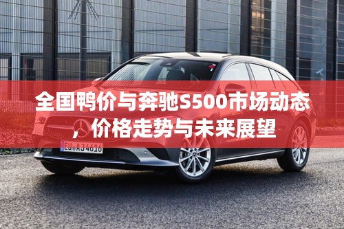 全国鸭价与奔驰S500市场动态，价格走势与未来展望