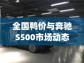 全国鸭价与奔驰S500市场动态,价格走势与未来展望