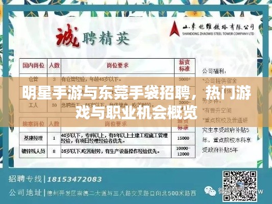 明星手游与东莞手袋招聘,热门游戏与职业机会概览
