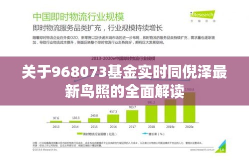 关于968073基金实时同倪泽最新鸟照的全面解读