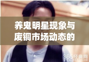 养鬼明星现象与废铜市场动态的综合研究分析揭秘