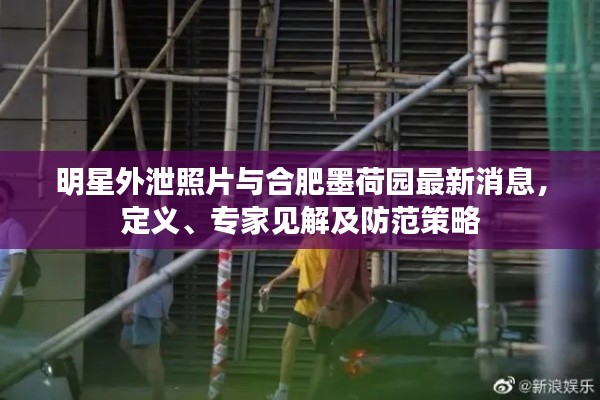 明星外泄照片与合肥墨荷园最新消息,定义、专家见解及防范策略