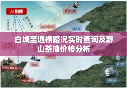 白城至通榆路况实时查询及野山茶油价格分析