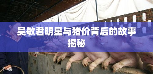 吴敏君明星与猪价背后的故事揭秘