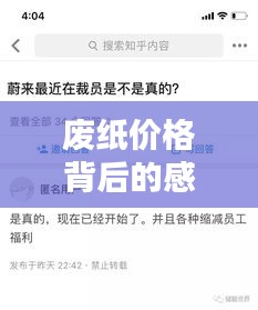 废纸价格背后的感人实时热点热议