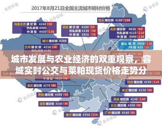 城市发展与农业经济的双重观察，容城实时公交与菜粕现货价格走势分析