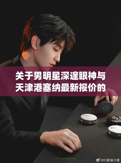 关于男明星深邃眼神与天津港塞纳最新报价的探讨