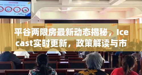 平谷两限房最新动态揭秘，Icecast实时更新，政策解读与市场展望