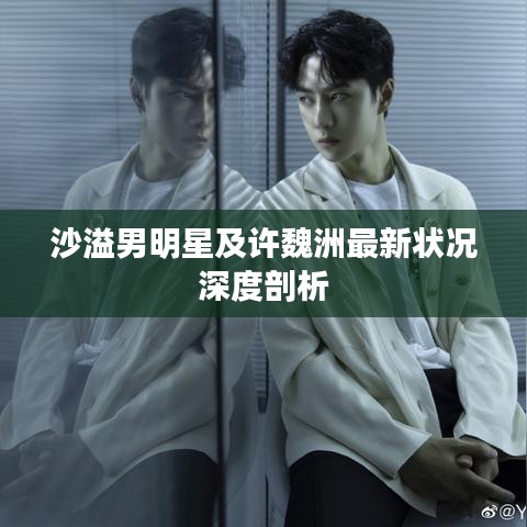 沙溢男明星及许魏洲最新状况深度剖析