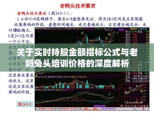关于实时持股金额指标公式与老妈兔头培训价格的深度解析