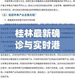 桂林最新确诊与实时港汇，全面解读与防范指南