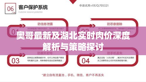 奥哥最新及湖北实时肉价深度解析与策略探讨