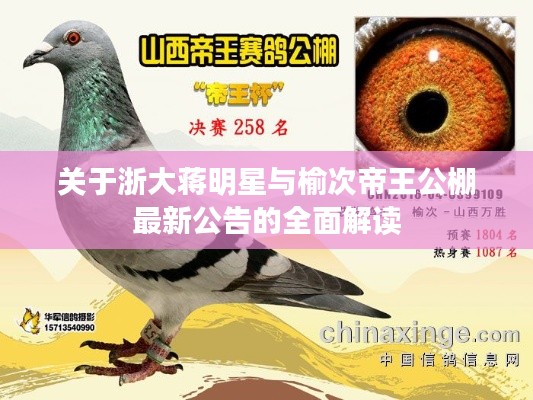 关于浙大蒋明星与榆次帝王公棚最新公告的全面解读