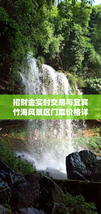 招财金实时交易与宜宾竹海风景区门票价格详解