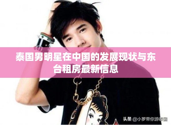 泰国男明星在中国的发展现状与东台租房最新信息