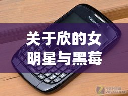 2026年3月13日 第3页