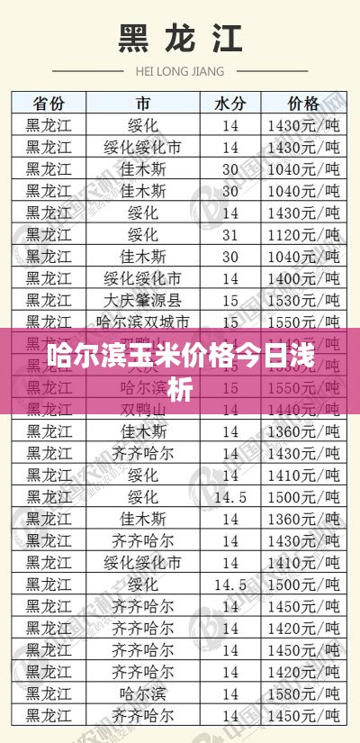 哈尔滨玉米价格今日浅析