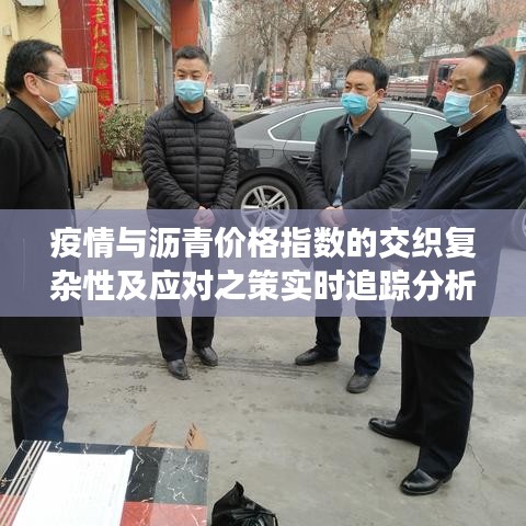 疫情与沥青价格指数的交织复杂性及应对之策实时追踪分析
