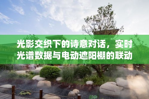 光影交织下的诗意对话，实时光谱数据与电动遮阳棚的联动探索