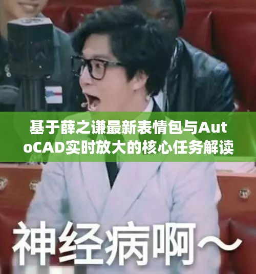 基于薛之谦最新表情包与AutoCAD实时放大的核心任务解读