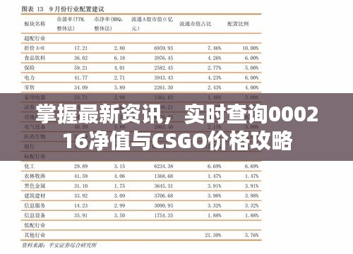 掌握最新资讯，实时查询000216净值与CSGO价格攻略