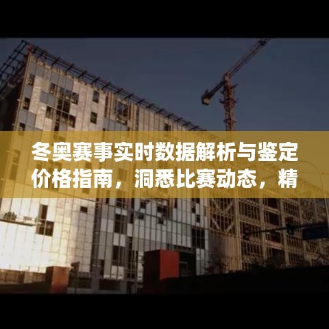 冬奥赛事实时数据解析与鉴定价格指南,洞悉比赛动态,精准评估价值