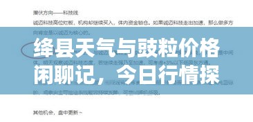 绛县天气与豉粒价格闲聊记,今日行情探讨