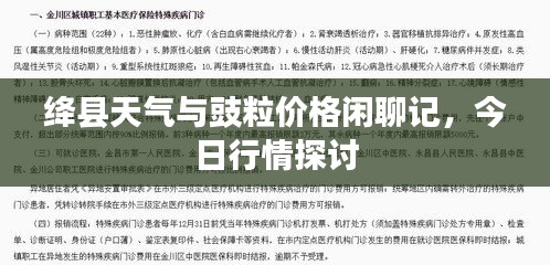 绛县天气与豉粒价格闲聊记,今日行情探讨