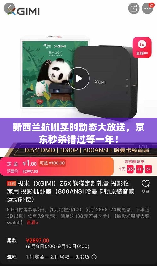 新西兰航班实时动态大放送,京东秒杀错过等一年!