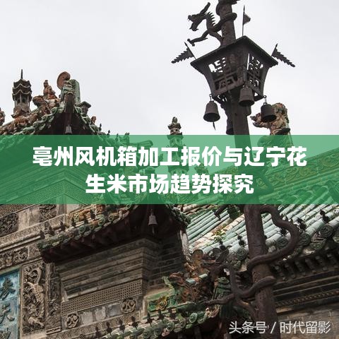 亳州风机箱加工报价与辽宁花生米市场趋势探究