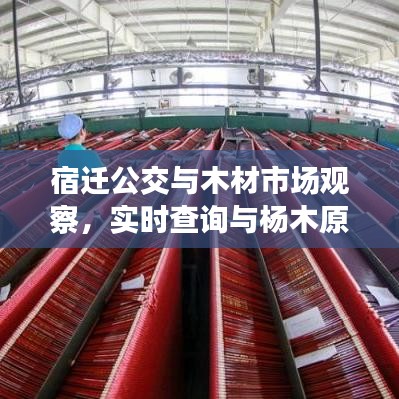 宿迁公交与木材市场观察，实时查询与杨木原木价格的动态分析