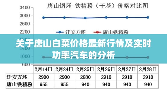 关于唐山白菜价格最新行情及实时功率汽车的分析