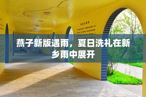 燕子新版遇雨，夏日洗礼在新乡雨中展开